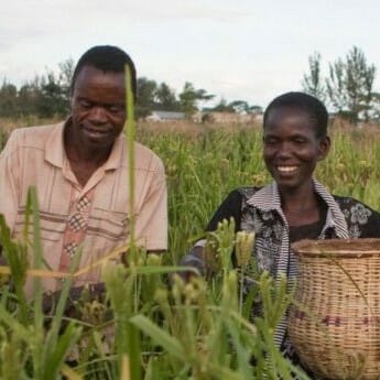 Smallholder farmers in sub-Saharan Africa