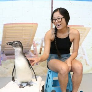 Woman smiling, sitting on chair while touching penguin standing next to her