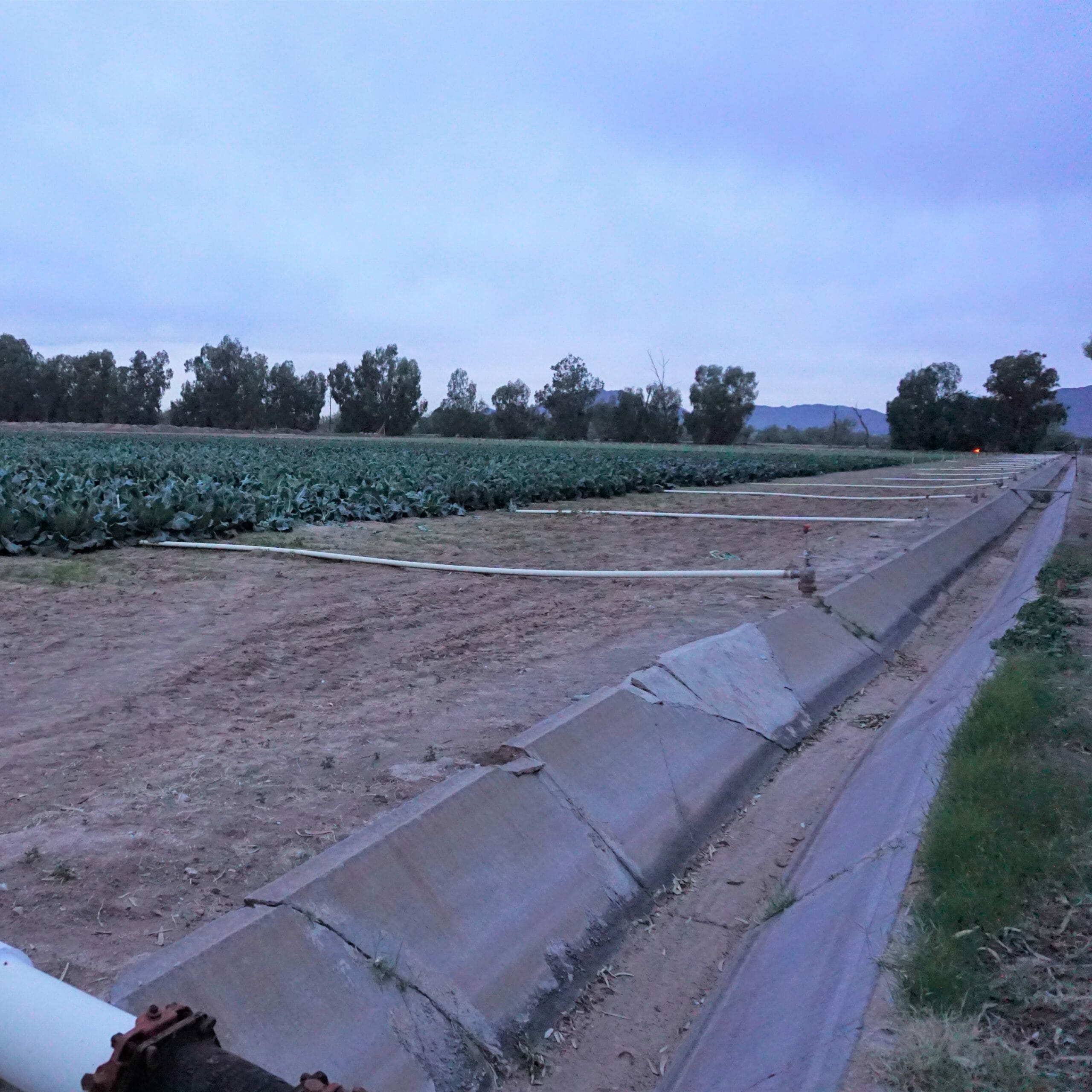 Farm field being irrigated