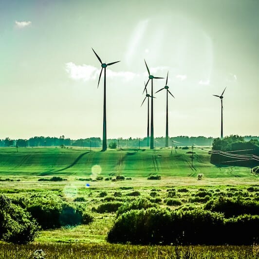 Wind farm of generators