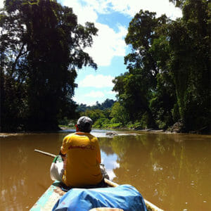 Back of man navigating canoe on narrow river