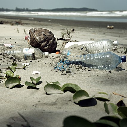 Plastic bottle and other trash on beach.