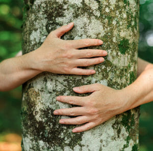 Arms wrapped around tree trunk