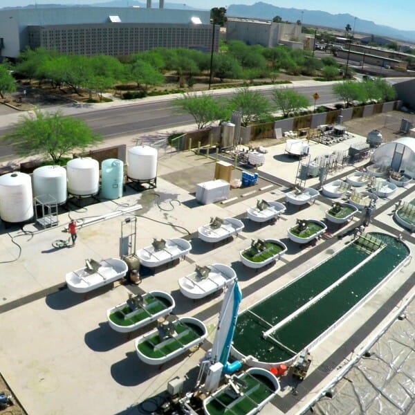 Arizona Center for Algae Technology and Innovation (AZCATI) facilities